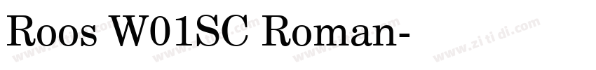 Roos W01SC Roman字体转换